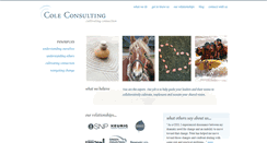 Desktop Screenshot of coleconsultinglc.com